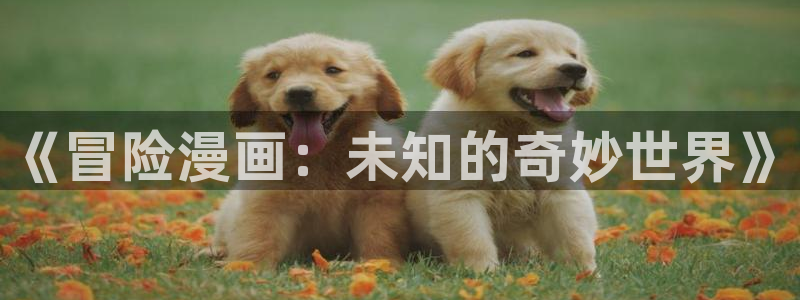 歪歪漫画成年人：《冒险漫画：未知的奇妙世界》